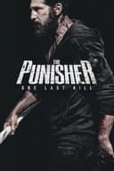 The Punisher: One Last Kill