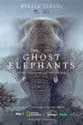 Ghost Elephants -